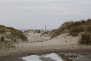 texel2018-68